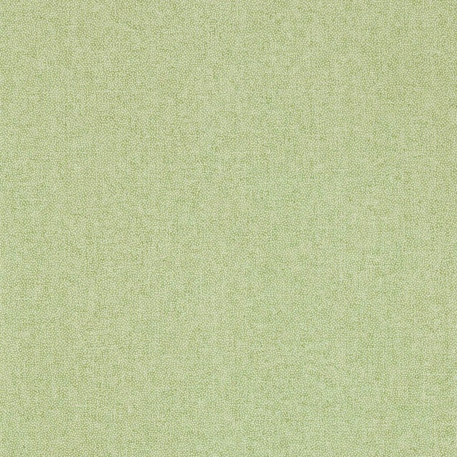 Sanderson Sessile Plain Wallpaper in Moss Green For Sale