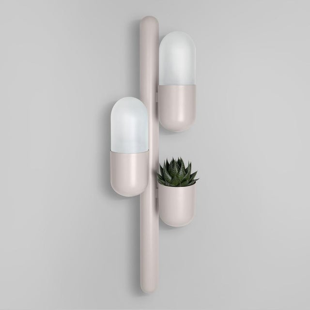 Cactus Wall Lamp by Creativemary For Sale - Image 16 of 18