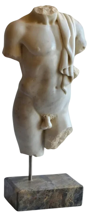 Early 20th Century Italian Sculpture in Carrara Marble Torso