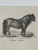 Black Webb & Millington, The Panorama of Horses, 1850, Engraving For Sale - Image 8 of 18
