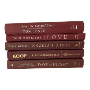 Late 20th Century Merlot Book Stack of Modern Titles - Set of 5