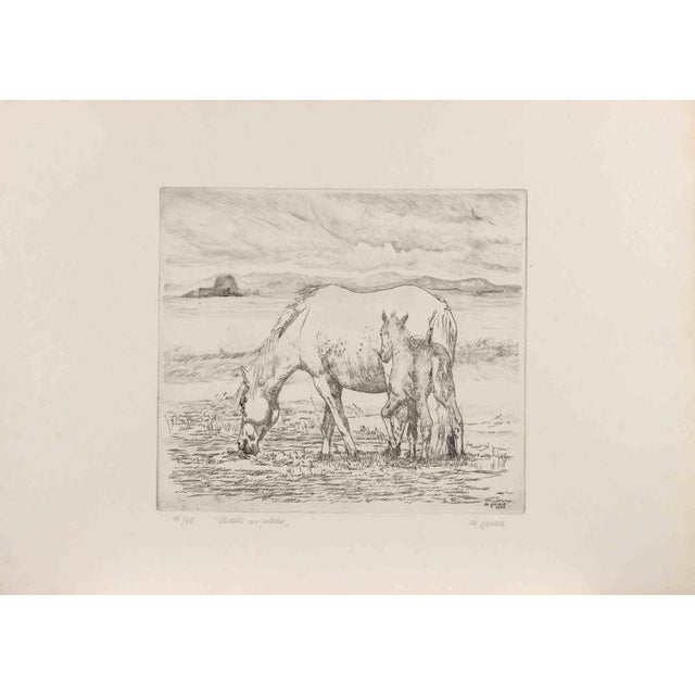 Etching hand colored realized in 1977. Hand signed, titled and numbered in pencil. Edition of 25. Very good condition...