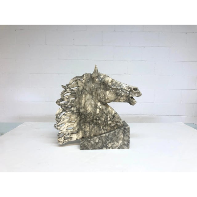 1970s Mid Century Marble Horse Head Bust on Marble Base For Sale - Image 5 of 10