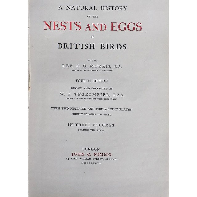 Tan Authentic Antique 19th Century Hand Colored Egg Lithographs - Set of 12 For Sale - Image 8 of 9