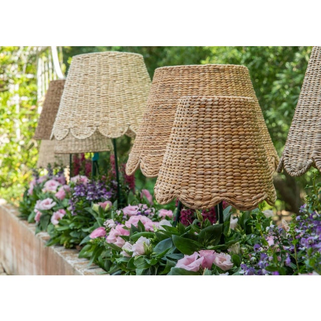 Handwoven water hyacinth lampshade with signature Maison Maison scallops along bottom and harp fitting. 10.5″T x 16″B x...