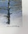 Paper Diana Ruth Harvey, Seasons, Set of 4 Reproduction Prints, Spring, Summer, Fall, Winter For Sale - Image 7 of 12