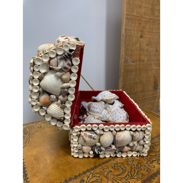 Vintage Handmade Sea Shell Encrusted Collectors Box For Sale - Image 4 of 7