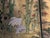 Vintage Asian-Inspired Four-Panel Tabletop Folding Screen With Cranes & Bamboo Designs. For Sale - Image 12 of 12