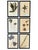 1965 French Herbarium Botanical Specimens – Set of 6 Custom Framed Pressed Botanicals For Sale - Image 6 of 15