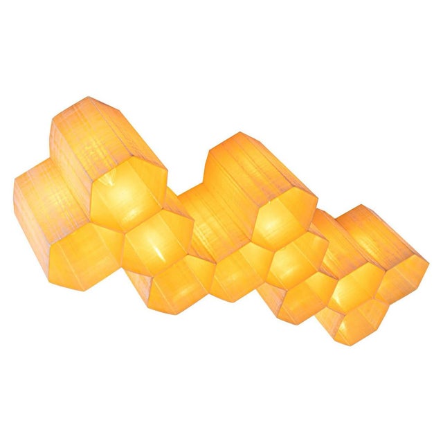 Molecular Honeycomb 11-Light Flush Mount & Wall Light in Fiberglass & Steel, 1950s For Sale - Image 10 of 10