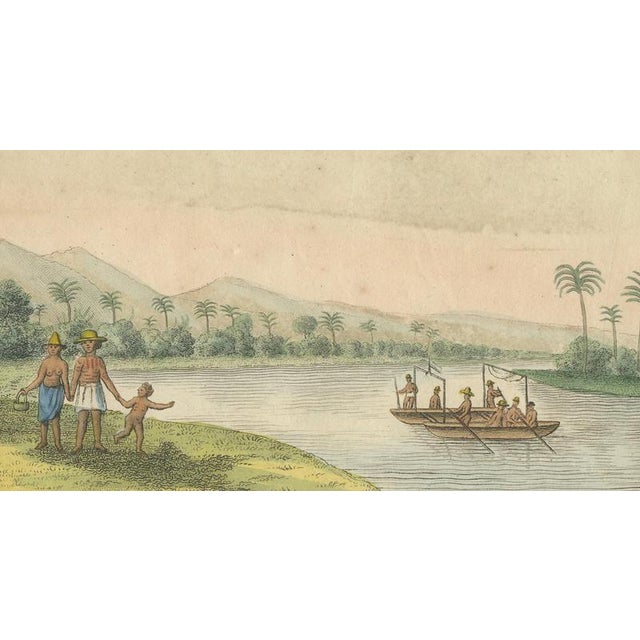 Cream Cycad, 1831, Paper For Sale - Image 8 of 9