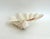 Shell Large Vintage Clam Shell For Sale - Image 7 of 8