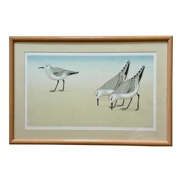 1970s Print - Sandpipers by David Grose For Sale