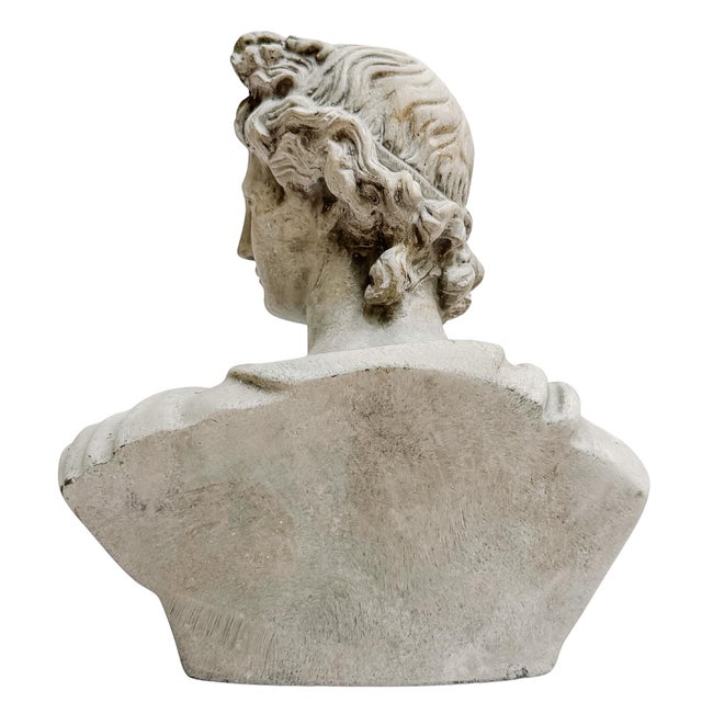 Late 20th Century Late 20th Century Classical Apollo of Belvedere Concrete Bust For Sale - Image 5 of 7