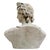 Late 20th Century Late 20th Century Classical Apollo of Belvedere Concrete Bust For Sale - Image 5 of 7
