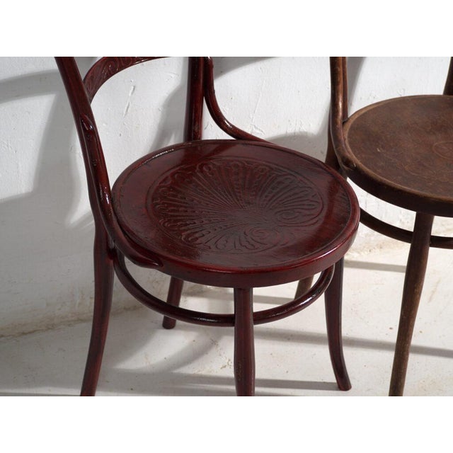 Antique Bentwood Chairs, Central Europe, 1900s, Set of 4 For Sale - Image 10 of 14