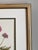1950s Vintage Botanical Print Set of 4 - Authentic 1953 Prints For Sale - Image 5 of 5