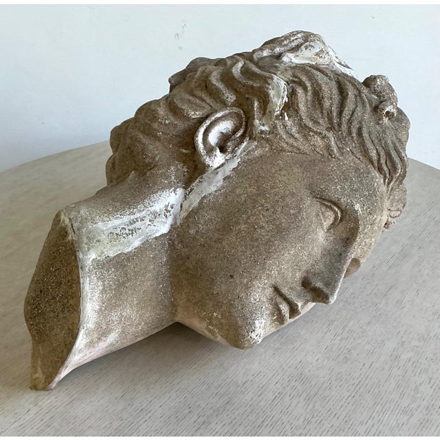 Vintage Greco Roman Patinated Resin Head Sculpture For Sale - Image 11 of 16