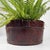 Lacquered Decorative Wooden Tub Tarai, Japan, 1910 For Sale - Image 10 of 17