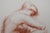 Modern Antoniucci Volti, Femme timide (Nude), Lithograph For Sale - Image 3 of 6