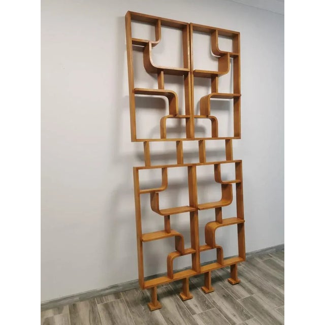 Room Dividers by Ludvik Volak for Drevopodnik Holesov, 1950s, Set of 2 For Sale - Image 10 of 12