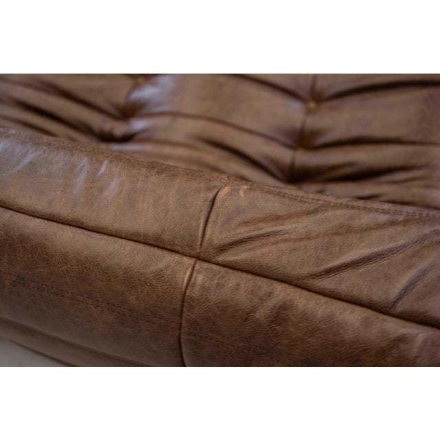 Togo Chaise Lounge in Brown Leather attributed to Michel Ducaroy for Ligne Roset, 1974 For Sale - Image 14 of 18