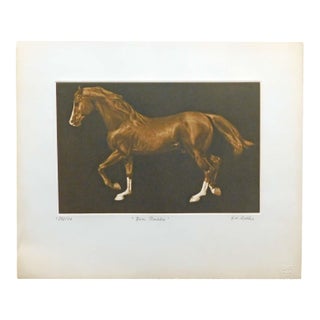 g.h Rothe "Ben Rabba"brown Horse Mezzotint Etching Hand Signed Unframed #136/150 For Sale