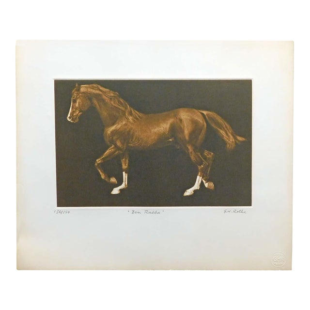 g.h Rothe "Ben Rabba"brown Horse Mezzotint Etching Hand Signed Unframed #136/150 For Sale
