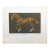 g.h Rothe "Ben Rabba"brown Horse Mezzotint Etching Hand Signed Unframed #136/150 For Sale
