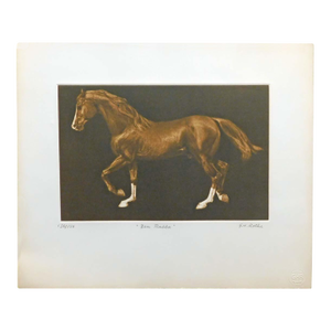 g.h Rothe "Ben Rabba"brown Horse Mezzotint Etching Hand Signed Unframed #136/150