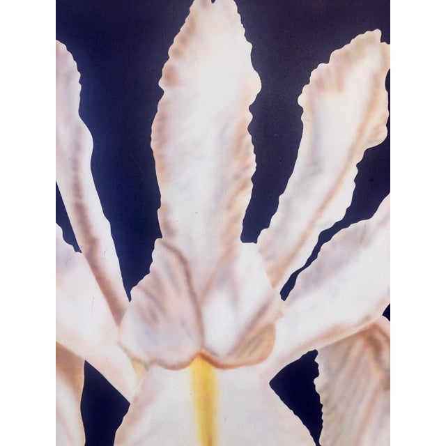 Clarence Measelle, Photorealism Still Life Acrylic Painting Flower Photo Realist Orchid, Vivid Blue For Sale - Image 9 of 11