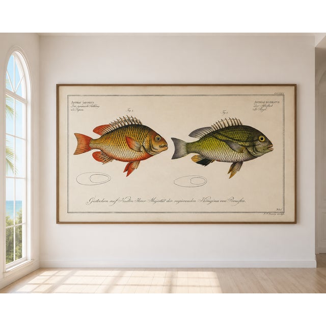 Not Yet Made - Made To Order Antique Fish Study 1, Vintage Art Print Reproduction, 60" X 40" For Sale - Image 5 of 11
