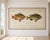Not Yet Made - Made To Order Antique Fish Study 1, Vintage Art Print Reproduction, 60" X 40" For Sale - Image 5 of 11