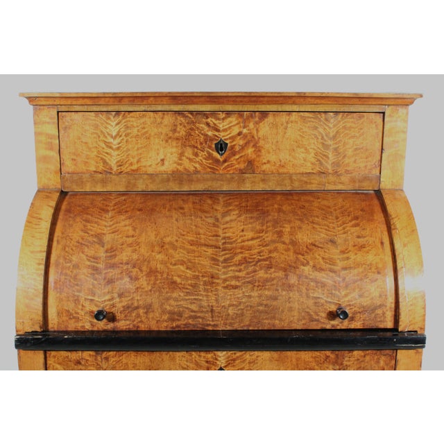 Pumpkin Biedermeier Birch Cylinder Desk For Sale - Image 8 of 13