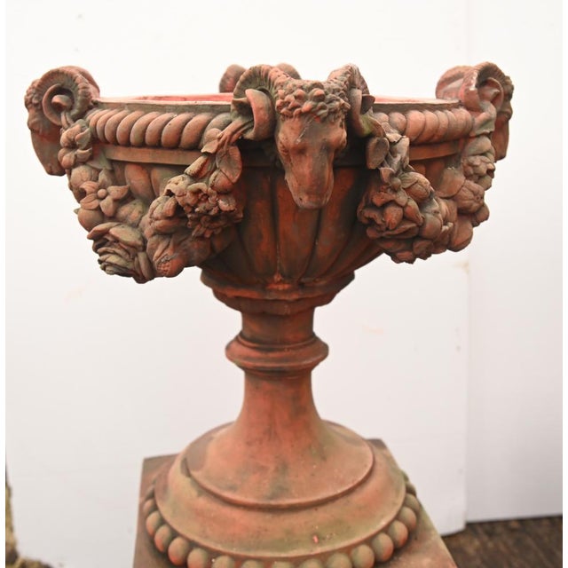 English Country Terracotta Garden Urns with Rams Heads, Set of 2 For Sale - Image 9 of 13