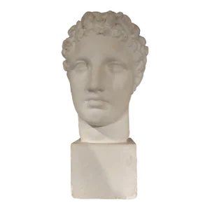 French Plaster Bust of a Classical Roman Male