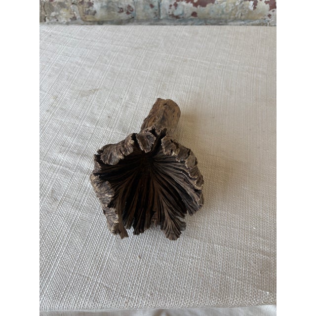 Natural Wood Tree Flower Sculpture / Organic Botanical Decor Object For Sale In New York - Image 6 of 9