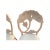 Late 20th Century Lime Wash Lotus Floral Carved Dining Set in the Manner of Phyllis Morris For Sale In Naples, FL - Image 6 of 11