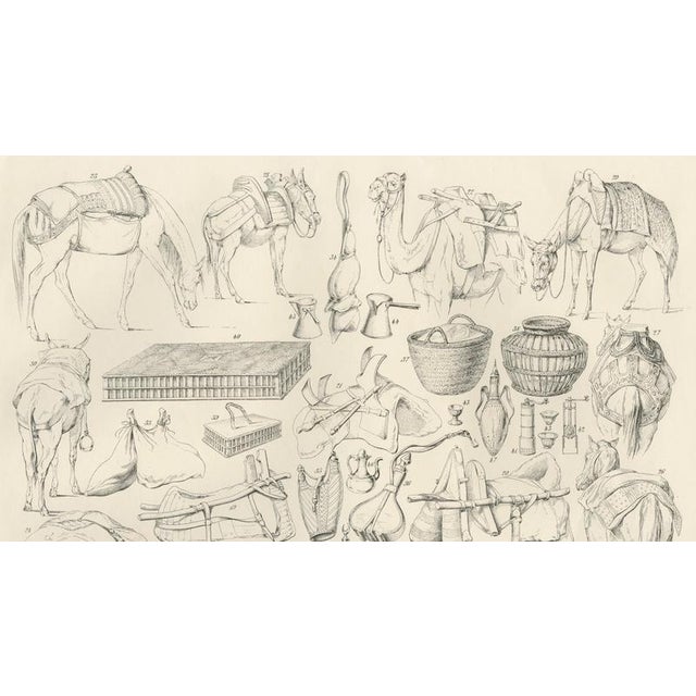 Camel and Caravan Equipment Studies, 1846, Paper For Sale - Image 4 of 10