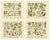 Paper M. Fünfstück, Wildflowers & Medicinal Plants, 1890s, Chromolithograph, Set of 4 For Sale - Image 7 of 9