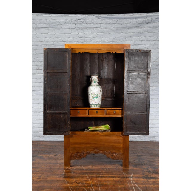 Brown 19th Century Chinese Qing Dynasty Carved Apron & Bronze Hardware Cabinet For Sale - Image 8 of 13