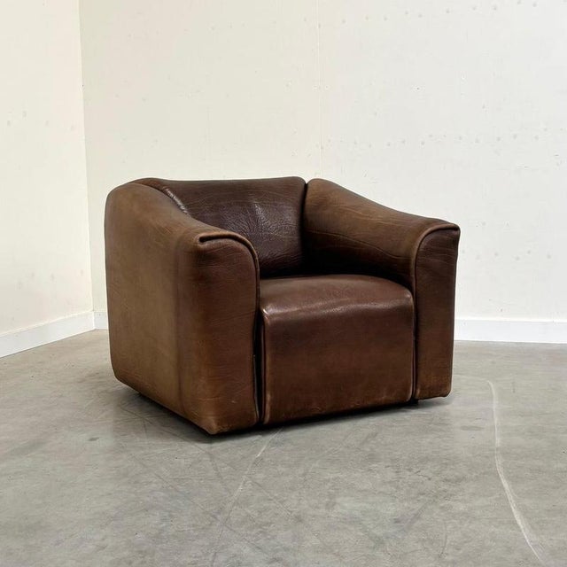DS47 Lounge Chair from de Sede, Switzerland, 1970s For Sale - Image 4 of 13