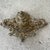 1950s Vintage Heavy Cast Brass Inkewll For Sale - Image 5 of 7