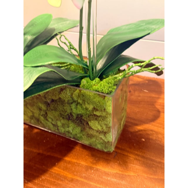 2020s Mint Leaf Orchid Luxe For Sale - Image 5 of 6