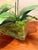 2020s Mint Leaf Orchid Luxe For Sale - Image 5 of 6