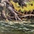 Rustic Don Dernovich Tenacity Oil on Panel For Sale - Image 3 of 4