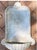 Late 20th Century Late 20th Century Shell Cast Stone Fountain Planter For Sale - Image 5 of 5