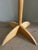 Cactus Coat Rack by Mauro Pasquinelli for Pallavisini, 1970s For Sale - Image 12 of 13