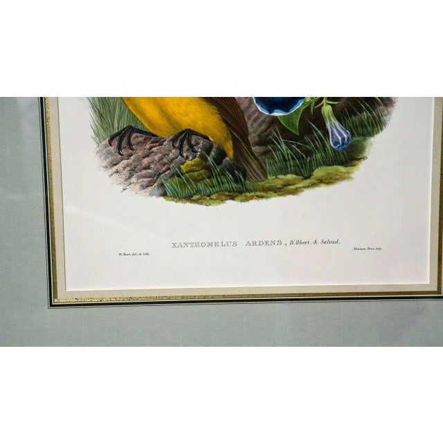 Gold 1920s Fine ly Framed Lithographs - a Pair For Sale - Image 8 of 9