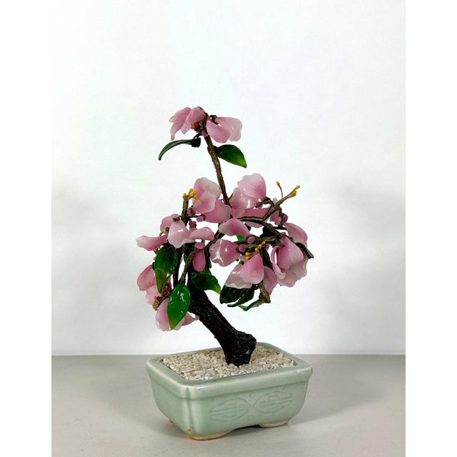 Vintage Mid-Century Flowering "Jade Tree" in Footed Celadon Pot - 10" For Sale - Image 11 of 16